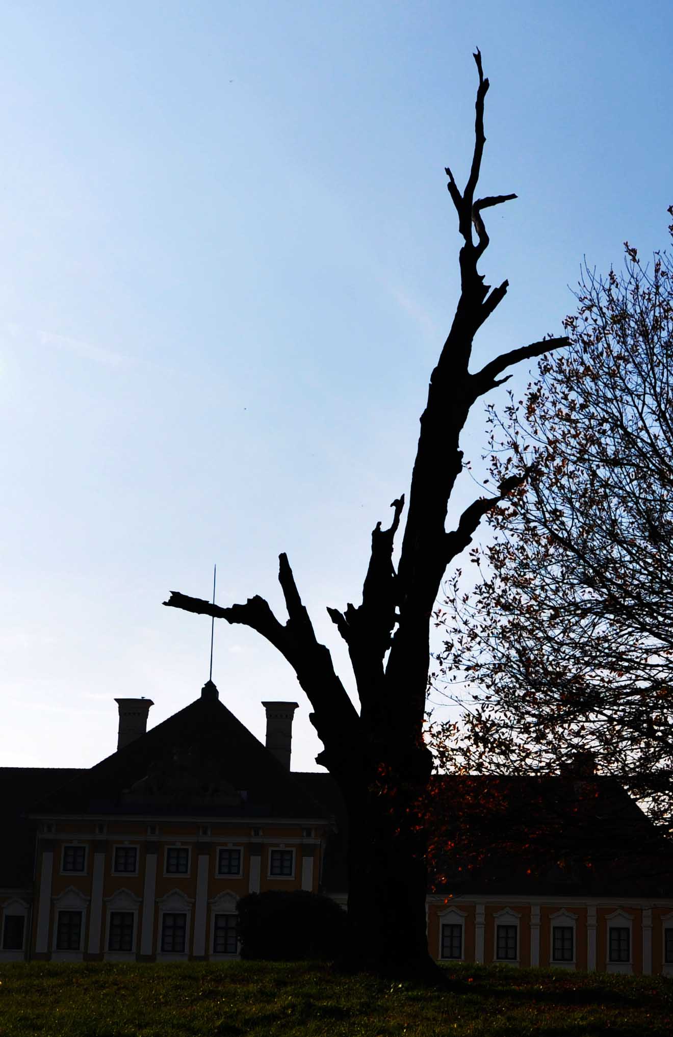 vukovar 14 11 2015 51